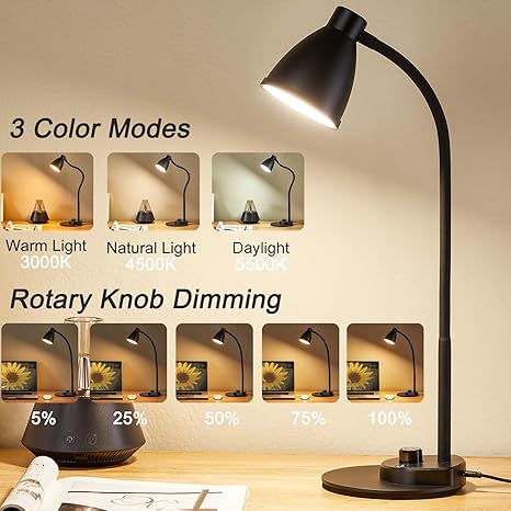 BOHON LED Desk Lamp